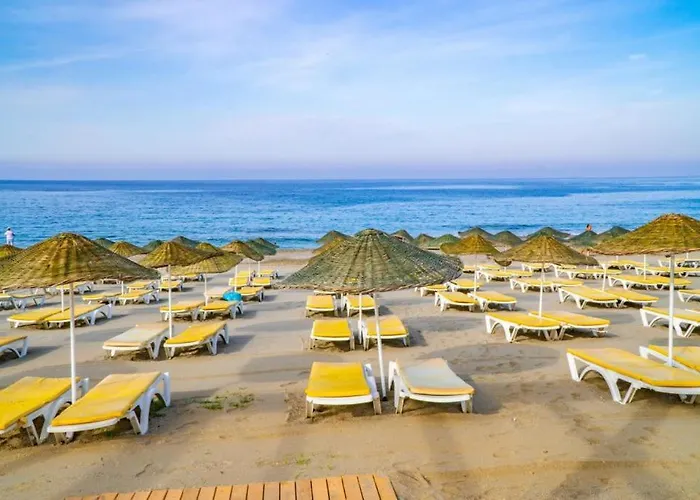 فندق Bieno Club Svs 4*