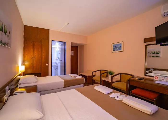 فندق Bieno Club Svs